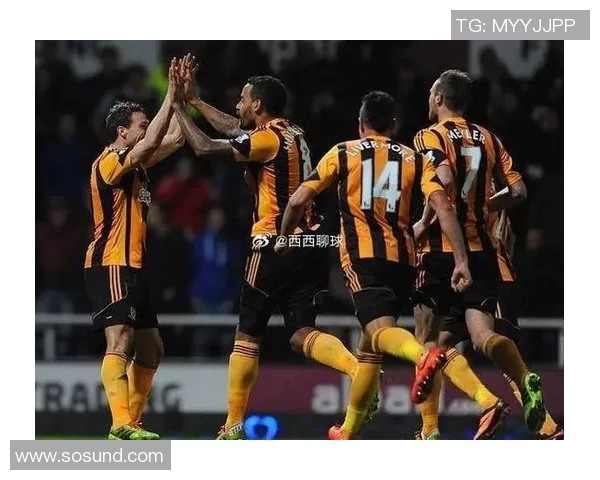 诺维奇对赫尔城比赛结果分析及精彩瞬间回顾